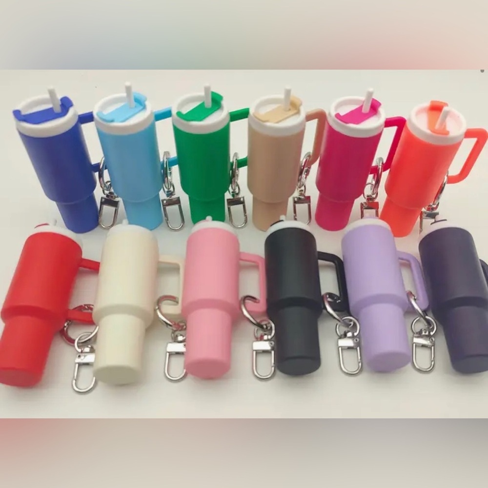 Mini Tumbler Chapstick Holder Keychain Assorted Colors
